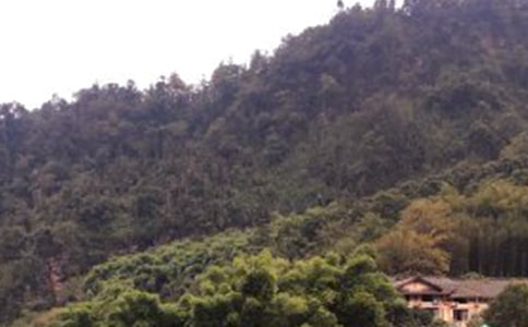 �ζ�üɽ��������(7ƪ)