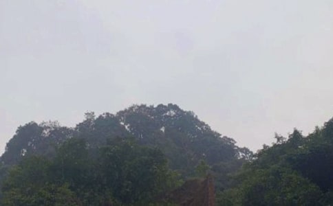 ��üɽ�������ģ���15ƪ��