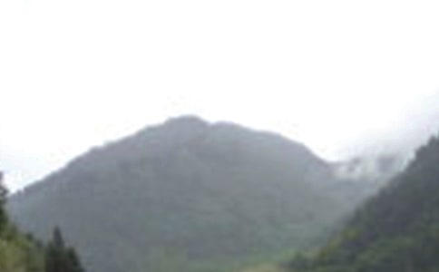 ��üɽ�μ�����