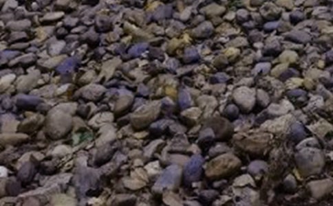 ȥ�ݷ�һ�����ʯ����