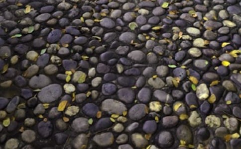 ����һ�Ŷ���ʯ���ġ�����14ƪ��