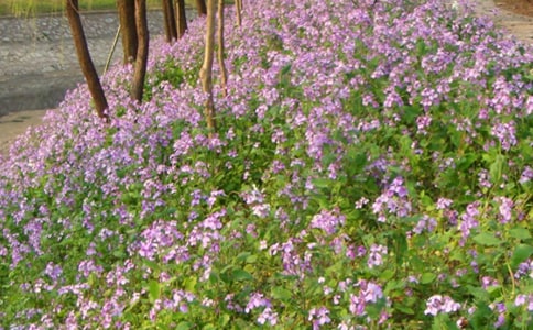 �����ϣ�����������