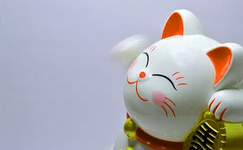 ף�����ֲ��׵ľ���15ƪ