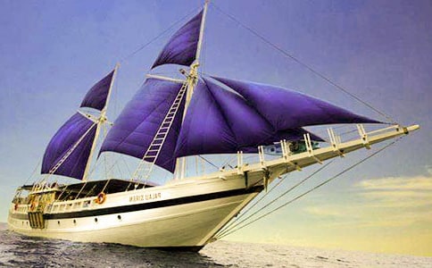 �а�����С�����̰�