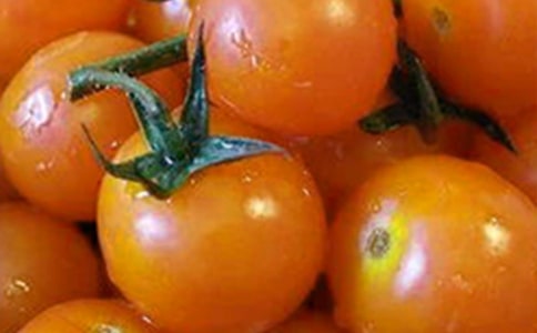 ���������ѳ�������15ƪ