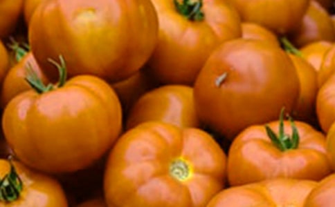 ���ѳ�������(��ѡ15ƪ)