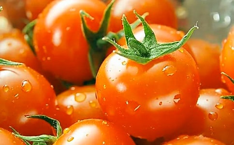 ���ѳ�������(15ƪ)