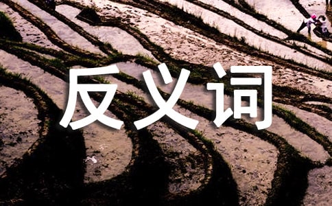 ��ϰ�����