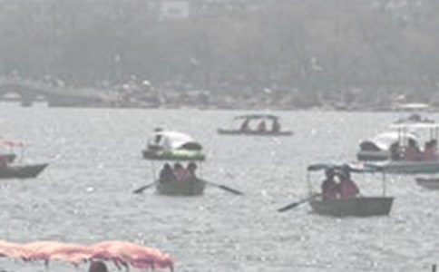 ���ۺ���ѧϰ���ƺ����ۡ�