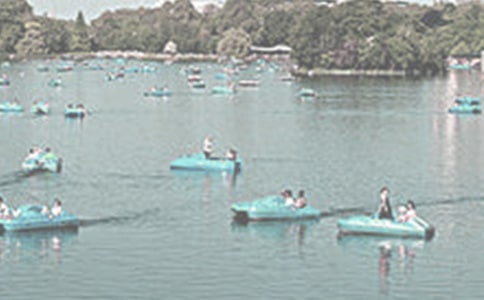 �ƺ��������ġ���ѡ��