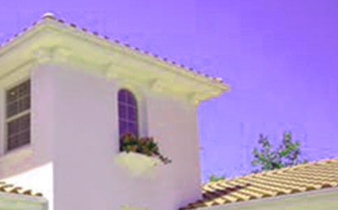 ����ķ���Сѧ����