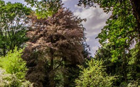 д�羰���ռ�