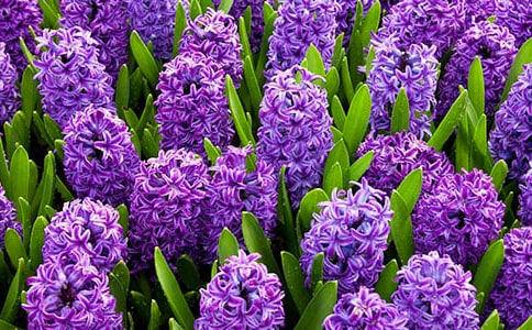 (����)����������