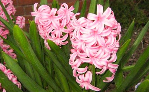 (��)����������15ƪ