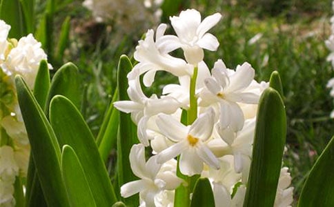 ����������ͨ��15ƪ