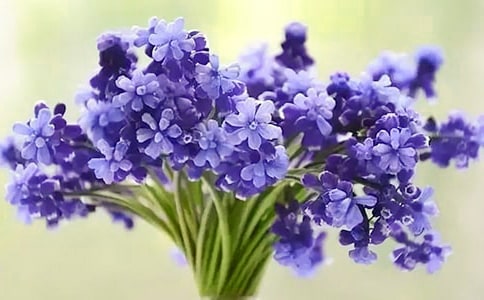 ����������(ͨ��15ƪ)