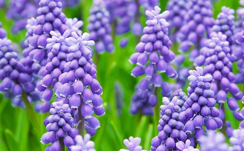 ���������Ļ��15ƪ