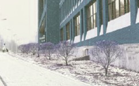 ��ѩ����������4ƪ