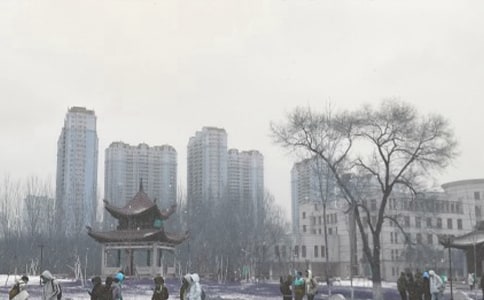 �ֽ�ͷ��ѩɽ������.ʾ��һ.