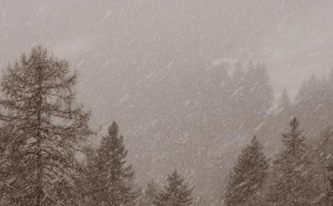 ��ѩ����������