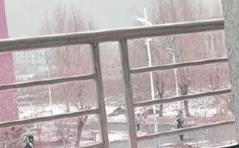 ��ѩ��������