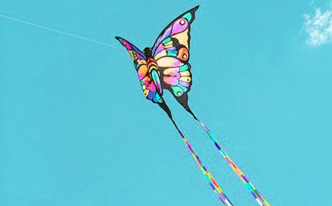 �ŷ������ģ�ͨ��79ƪ��