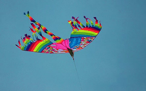 �׶�԰�а����������̰��������ķ��ݡ�