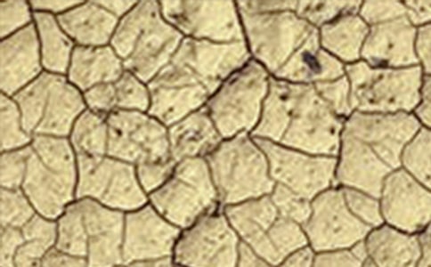 ����ս�ȸɺ�