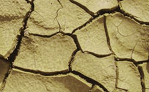 �ɺ��Ŀ�������500��