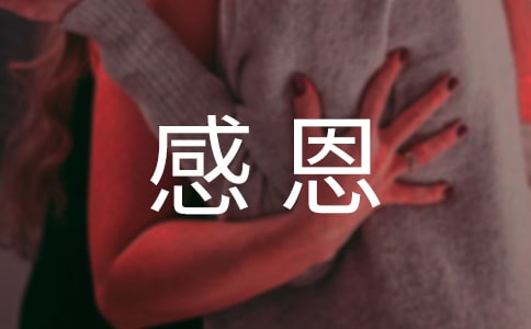 �ж�ĸ������