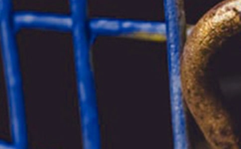 �����������ܽ�