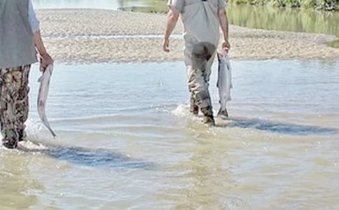 �ҵ�����������15ƪ