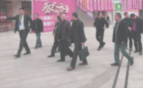 ���̾���ȹ����ܽ�