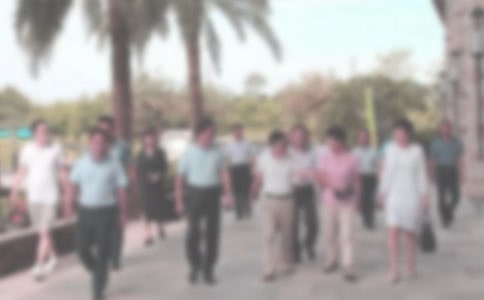 ���ְ̾���ȹ����ܽ�