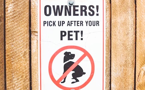 ���÷����̡��Ϸ�С������Ŀ���̹���