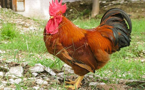 �а������������Ը�����󹫼����������̰�