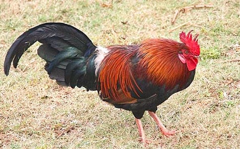 �󹫼�����15ƪ[��]