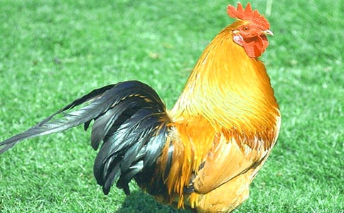 �󹫼�����(���15ƪ)