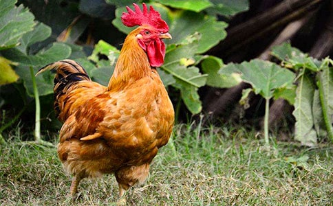 �󹫼����ġ����š�