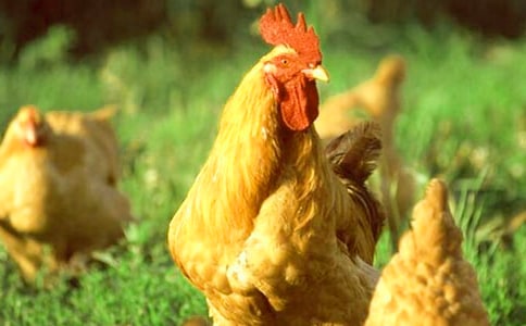 �󹫼����ġ��ȡ�