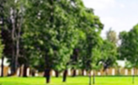 ��԰�������ģ�����15ƪ��