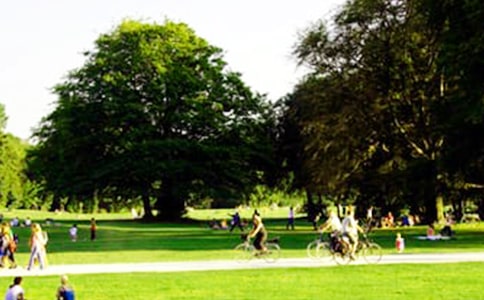 ��԰���˹����ܽ�8ƪ