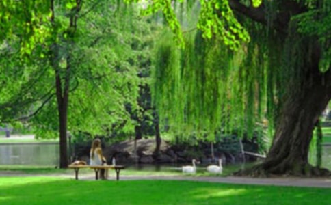 ��ɽ��԰����