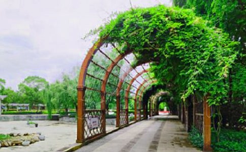 �������Ϻ���԰