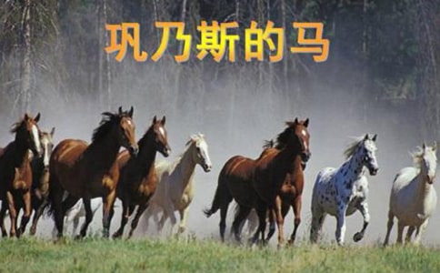 ������˹������...