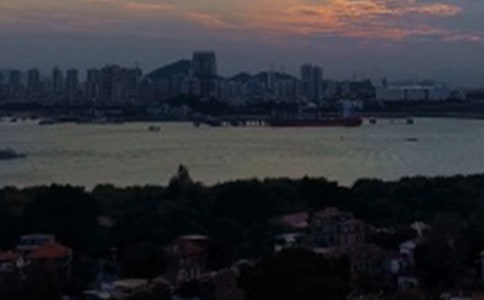 �����Ĺ�����