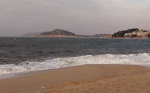 ������ɳ̲����