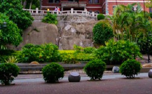 ���Ź���������Ļ���9ƪ