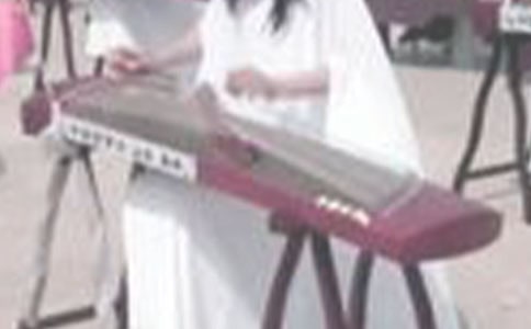 ���ݿ�������