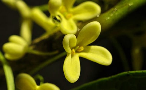 ���������ľ�Ʒ[15ƪ]